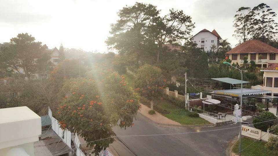 Nang Vang Hotel Da Lat Dış mekan fotoğraf